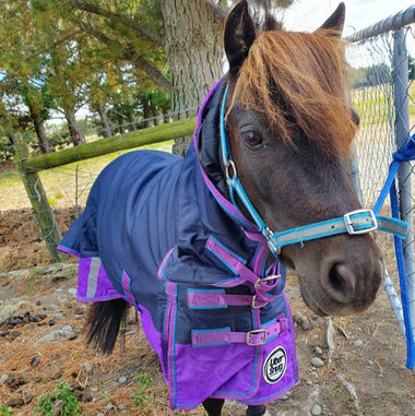 Snugga 1200D Paddock Combo - 100g (Mini)