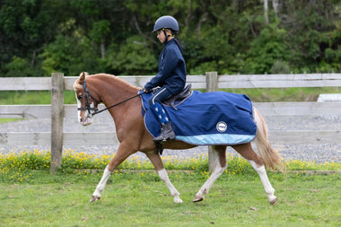 TERRAIN Exercise Quarter Sheet - 0g