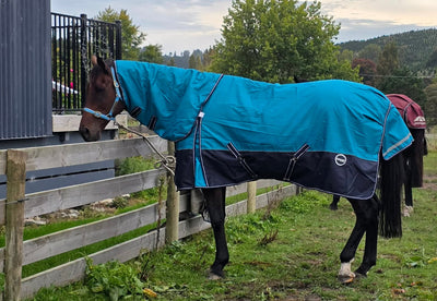 TERRAIN 1200D Detach-a-Neck - 200g