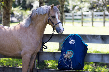 Hay Bag Feeder