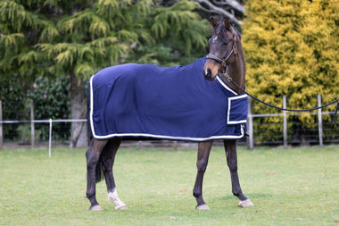 Terrain Cotton Presentation Rugs - Club/Event price