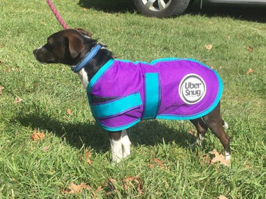 Snugga Dog Rug - Fleece Lined