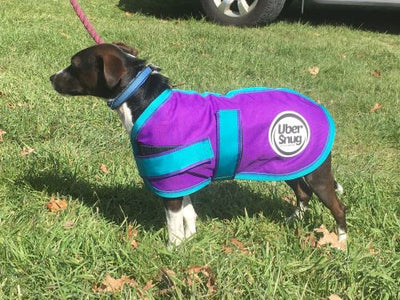 Snugga Dog Rug - Fleece Lined