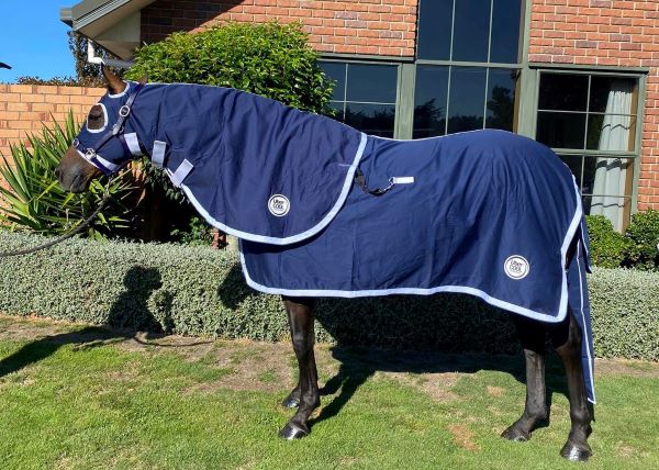 3pc Cotton ShowSet - HOOD