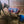 Snugga Dog Rug - Fleece Lined