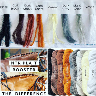 NTR Plait Booster