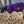 Snugga Dog Rug - Fleece Lined